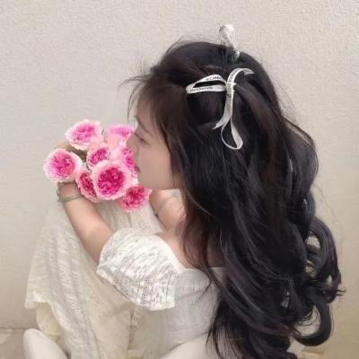 漂泊者