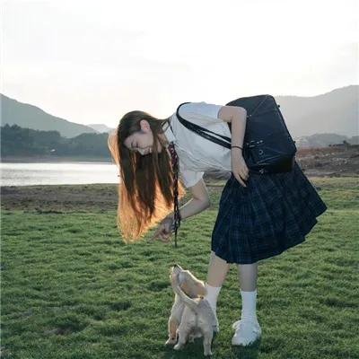狗咬狗